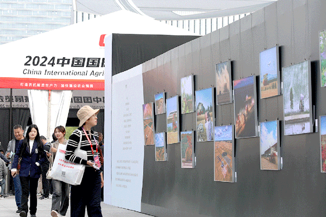 平博·(pinnacle)官方网站